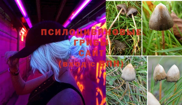 марки lsd Вязьма